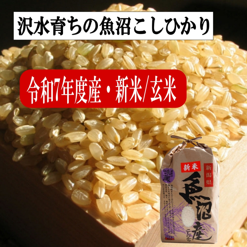新米 令和7年度産 新潟産 魚沼こしひかり/玄米 3kg, 5kg、10kg 沢水育ちの棚田米 特別栽培 甘くてツヤツヤ