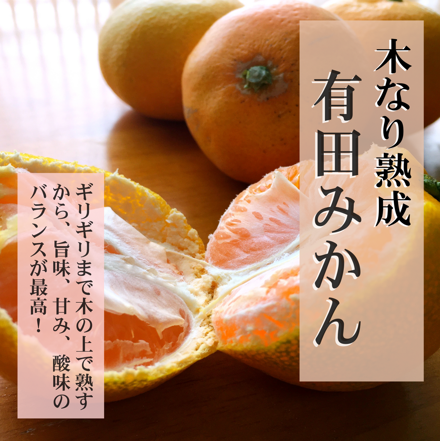 5月よりスタート予定! 【スーパー柑橘-農6】【岩武果樹園の甘くて美味しい高機能みかん】有田みかん 高糖度 みかん ミカン 甘い ジューシー エコファーマー (減農薬)レピレチン/β-クリプトキサンチン/タンゲレチン など