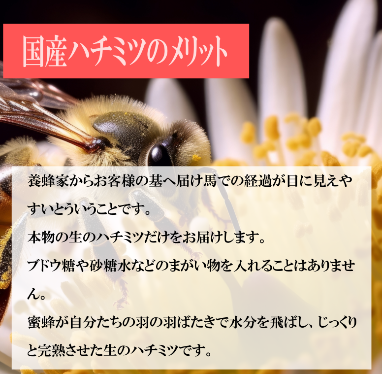 糖度78度以上 【国産 生はちみつートチ蜜】 秋田産 生蜜100% 天然 無加熱 無添加 産地直送 蜂屋甘味堂 アミノ酸 ミネラル 酵素 ヘルシー 健康 食品