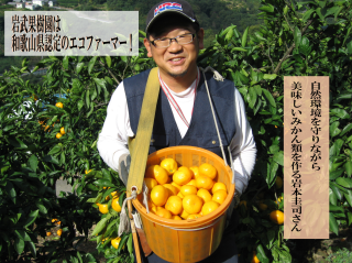初夏にたどり着く スーパー柑橘-農6(のうろく) 岩武果樹園の高機能みかん 期日指定・数量限定 お早めにどうぞ