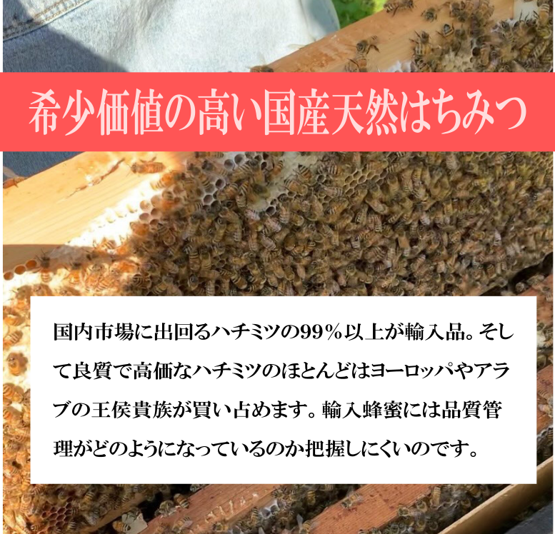 糖度78度以上 【国産 生はちみつートチ蜜】 秋田産 生蜜100% 天然 無加熱 無添加 産地直送 蜂屋甘味堂 アミノ酸 ミネラル 酵素 ヘルシー 健康 食品