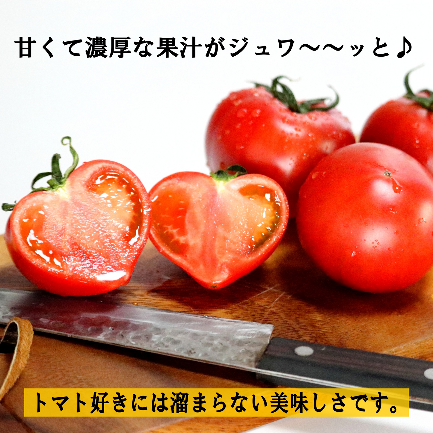 母の日ギフトに大人気！誰が食べても旨いと驚く糖度10度以上の珊瑚樹トマト 1kg  ダイエット 美肌 国産 野菜  産地直送 産直 お取り寄せ 徳島県産