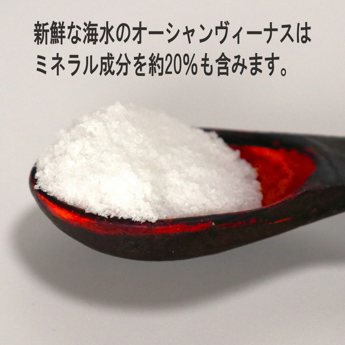 天然塩 ミネラル豊富 天然塩 塩田 塩釜製法 オーシャンヴィーナス400g×2 天日塩 天然塩 体内と同じミネラル成分が20%も 天日塩 塩 しお 調味料 都内一流料理店 プロ仕様 韓国 木浦産