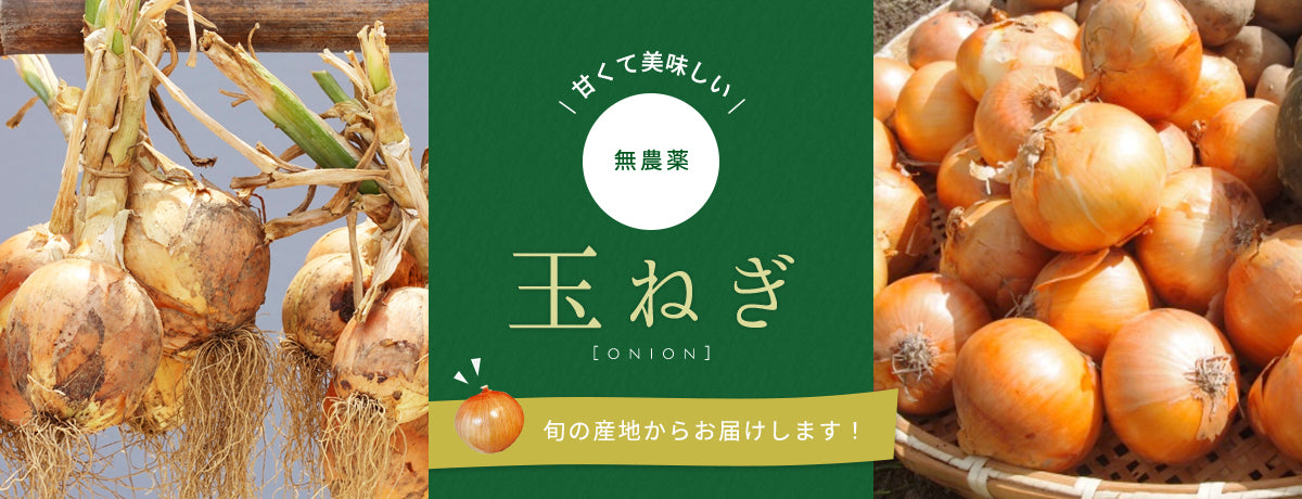 甘くて美味しい無農薬玉ねぎ!旬の産地からお届けします!