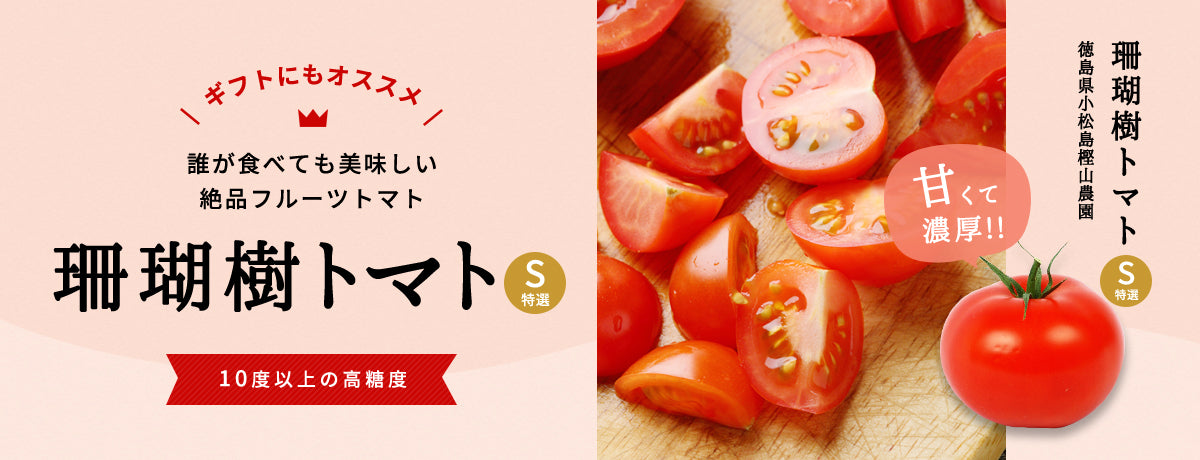 ギフトにもおすすめ。誰が食べても美味しい絶品フルーツトマト。珊瑚樹トマトS特選。10度以上の高糖度。徳島県小松島樫山農園