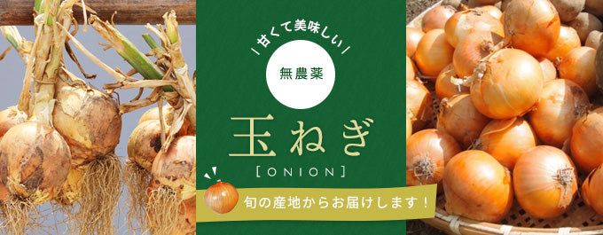 甘くて美味しい無農薬玉ねぎ!旬の産地からお届けします!