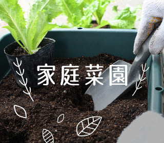 家庭菜園