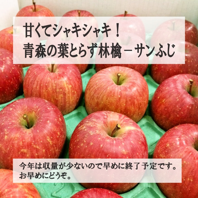 【お歳暮などの各種ギフト】青森 りんご 甘くてシャキシャキ サンふじ5kg(14~25玉) 皮ごと食べられる 減農薬 青森県特別栽培農産物認定 葉とらず栽培 甘くてジューシー果汁たっぷり 産地直送