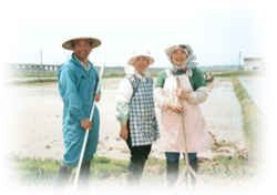 餅 切りもち総量1.7キロ〜 杵つき餅-彩りギフト6種類昔ながらの粘りのある無添加餅 国産減農薬もち米100%使用こがねもち わたぼうし 新潟県 農家の手作り餅 無添加