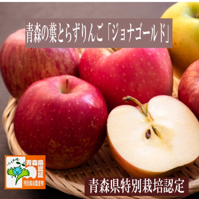 10月下旬よりスタート!大人気の林檎 真っ赤に熟れたりんごの酸味の旨さ最高! 青森県産 りんご ジョナゴールド3kg~10kg 皮ごと丸かじり もりやま園 葉とらずりんご 青森県特別栽培認定 SDG`s 甘さと酸味