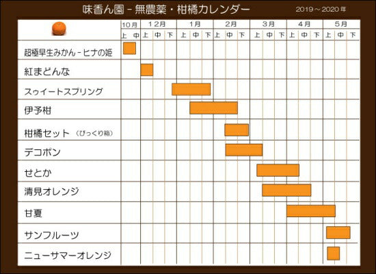2月上旬よりスタート 数量・期間限定!とろける美味しさ 柑橘の大トロ 味香ん園の木なり熟成せとか3kg(15玉前後)減農薬栽培 甘みと酸味のバランスが最高 愛媛県 産地直送 せとか
