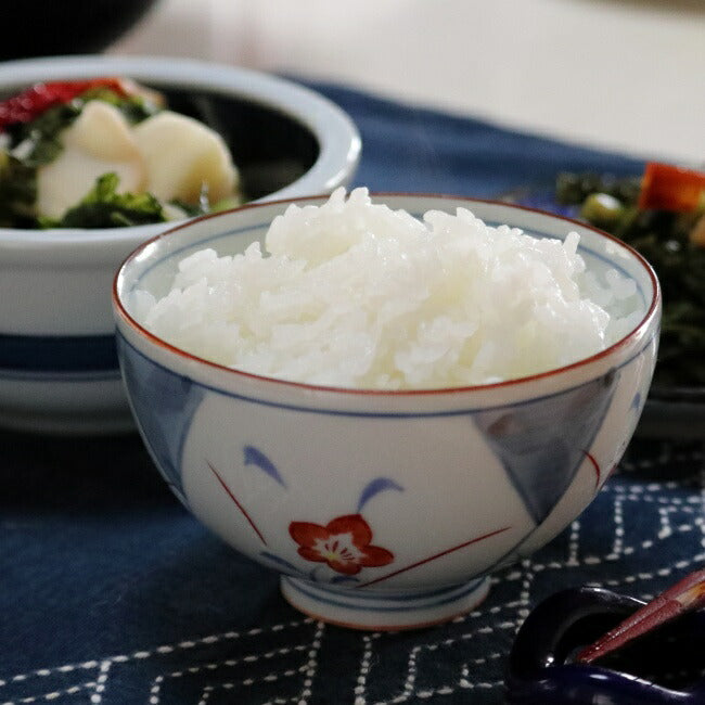 新米 令和7年度産 新潟産 魚沼こしひかり/玄米 3kg, 5kg、10kg 沢水育ちの棚田米 特別栽培 甘くてツヤツヤ