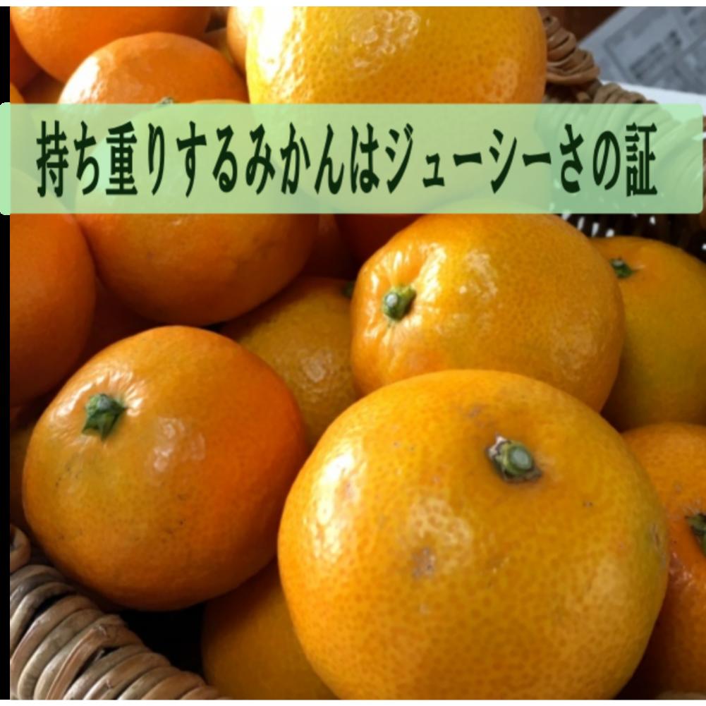 今年も甘い!高糖度 みかん 【岩武果樹園果樹園の木なり熟成有田みかん】3kg 有機減農薬 リピート率NO1【送料無料(北海道、離島除く)】和歌山県 皮ごと使える お歳暮ギフト 糖度12度〜 温州みかん エコファーマー (減農薬)