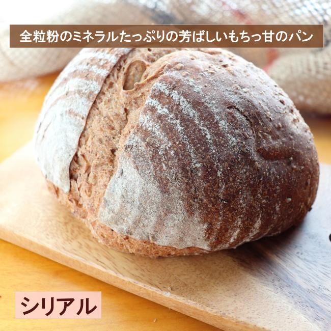 パンフルートの人気の焼き立て手作りパンセット 7種 送料無料 産地直送 焼き立てをその日の内に発送 厳選素材 無添加