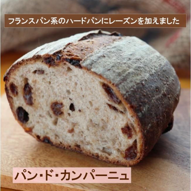 パンフルートの人気の焼き立て手作りパンセット 7種 送料無料 産地直送 焼き立てをその日の内に発送 厳選素材 無添加