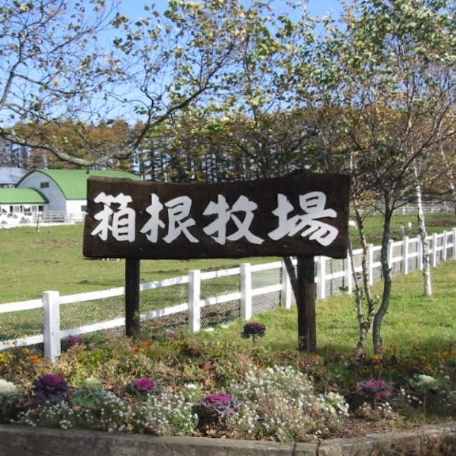 台所の常備野菜 !無農薬 玉ねぎ じゃがいも 【北海道の有機じゃがいも&玉ねぎの8キロセット】  箱根牧場  有機JAS オーガニック じゃがいも 玉葱 有機 じゃがいも 玉ねぎ たまねぎ 国産玉ねぎ 男爵 ジャガイモ 有機野菜 お取り寄せ 国産