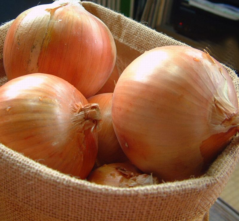 11月末で終了!プロも認める淡路の無農薬玉ねぎ5kg、10kg、20kg 30年以上無農薬 兵庫県 プロも認める高品質 産地直送