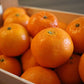 今シーズンは完売！とろける美味しさ 柑橘の大トロ 味香ん園の木なり熟成せとか3kg（15玉前後）甘みと酸味のバランスが最高  愛媛県 産地直送  せとか