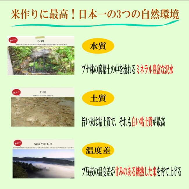 新米 令和7年度産 新潟産 魚沼こしひかり/玄米 3kg, 5kg、10kg 沢水育ちの棚田米 特別栽培 甘くてツヤツヤ