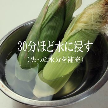 甘くて旨くてジューシー!有機 生とうもろこし めぐみ Lサイズ/10本入り 朝採り 生トウモロコシ 群馬県産 有機JAS 産地直送 クール配送