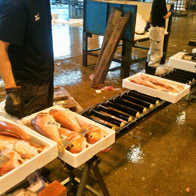 \敬老の日ギフト/玄界灘 干物 一夜干し 国産近海魚 玄界灘の新鮮魚の一夜干しAセットー3種6枚 敬老の日ギフト早割り 干物 福岡 化粧箱入り 産地直送 クールチルド便 贈り物 喜ばれる 美味しい