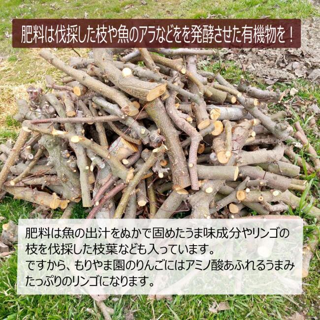 この爽やかさは病みつきになりそう! 【テキカカアップルソーダ―330ml×6本入り 】青森無農薬摘果林檎使用 リンゴポリフエノール ノンアル飲料 アウトドア ホームパーティーに大人気