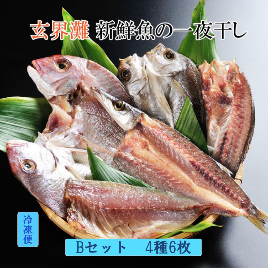 \ギフト/ 玄界灘の新鮮魚の一夜干しBセットー4種6枚セット化粧箱入り 産地直送 クールチルド便 魚の品種は季節で少々変わります。贈り物 喜ばれる 美味しい