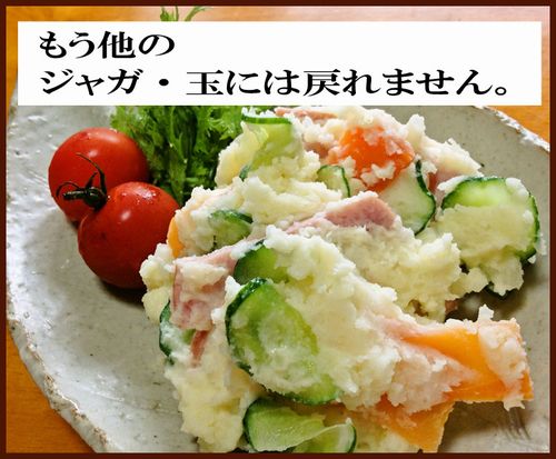 無農薬 玉ねぎ じゃがいも 有機JAS 北海道の有機じゃがいも&玉ねぎの8キロセット 箱根牧場 オーガニック じゃがいも 玉葱 有機 じゃがいも 玉ねぎ たまねぎ 国産玉ねぎ 男爵 ジャガイモ 有機野菜 お取り寄せ 国産