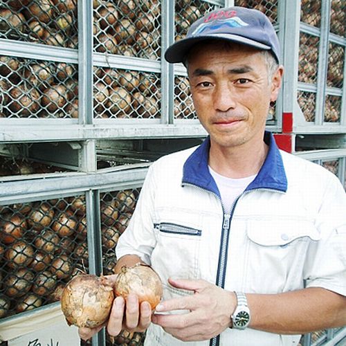 無農薬 玉ねぎ じゃがいも 有機JAS 北海道の有機じゃがいも&玉ねぎの8キロセット 箱根牧場 オーガニック じゃがいも 玉葱 有機 じゃがいも 玉ねぎ たまねぎ 国産玉ねぎ 男爵 ジャガイモ 有機野菜 お取り寄せ 国産