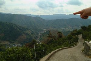 高糖度 和歌山県産 みかん 甘い有田みかん3kg 特選 皮ごと使える リピート率NO1ギフト糖度12度~ ギフト 温州みかん エコファーマー 高糖度 柔らかい 【送料無料(北海道、離島除く)】