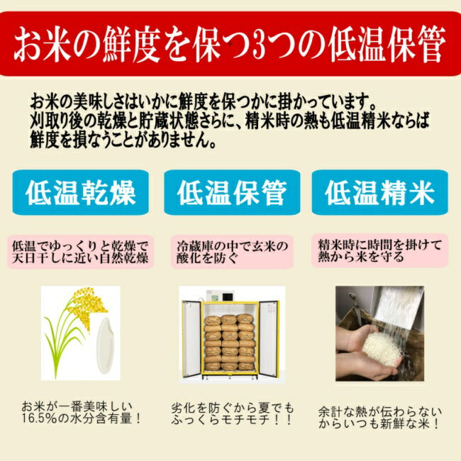 新米 令和7年度産 新潟産 魚沼こしひかり/玄米 3kg, 5kg、10kg 沢水育ちの棚田米 特別栽培 甘くてツヤツヤ