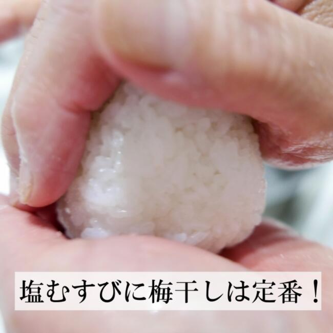 南高梅 無添加梅干しのねり梅/120g×3本 天日塩漬け 無農薬 無化学肥料自然栽培 紀州産南高梅 梅干し