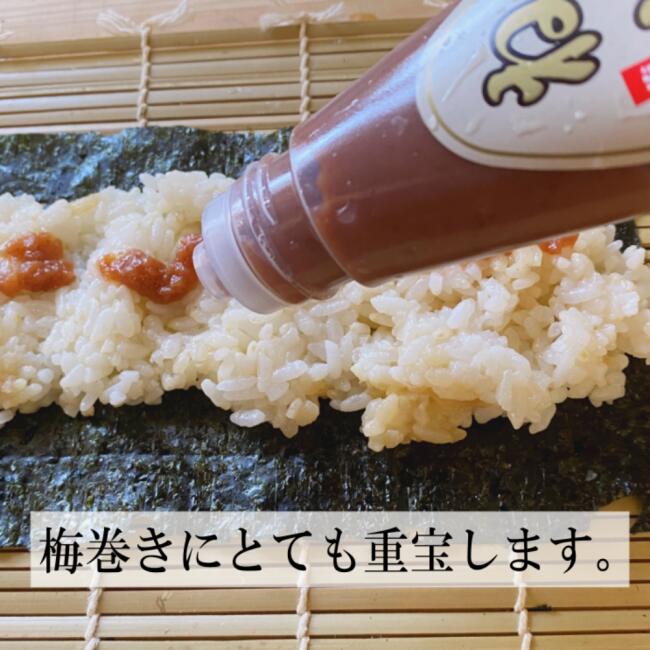 南高梅 無添加梅干しのねり梅/120g×3本 天日塩漬け 無農薬 無化学肥料自然栽培 紀州産南高梅 梅干し
