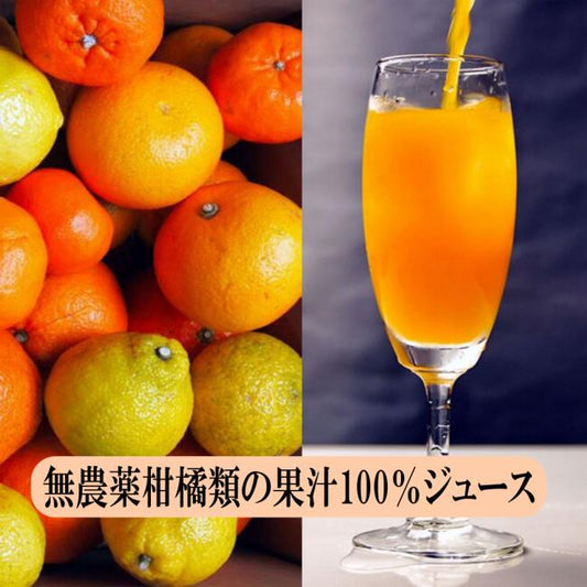 今年の搾りたてジューススタート!味香ん園(みかんえん)のストレートジュース 720ml×6本 果汁100%ジュース詰め合わせ 愛媛県 有機減農薬 柑橘類 みかん 伊予柑 ポンカン ほか 無添加 快気祝い 病気見舞い