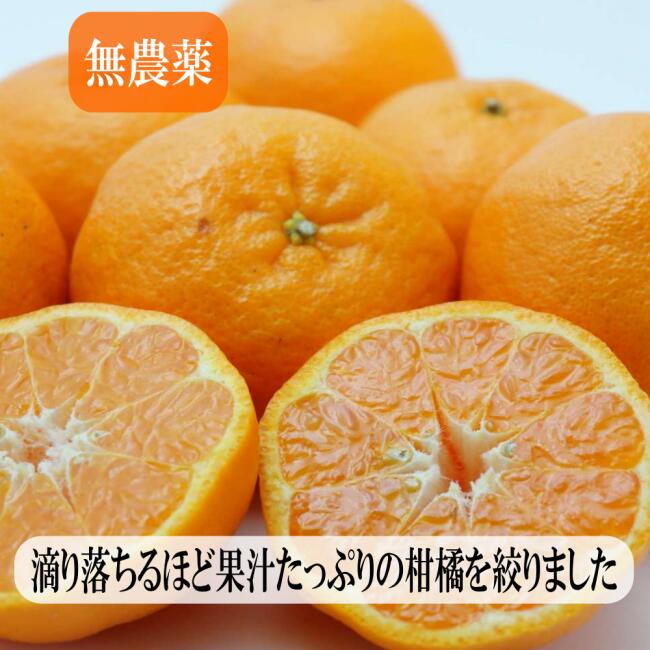母の日ギフト!無農薬果汁100% ストレートジュース 720ml-4本入り 飲む果実 ジュース詰め合わせ フルーツを食べてる美味しさ オレンジジュース 愛媛ミカン ジュース フルーツジュース 果物 八幡浜 4種類の柑橘