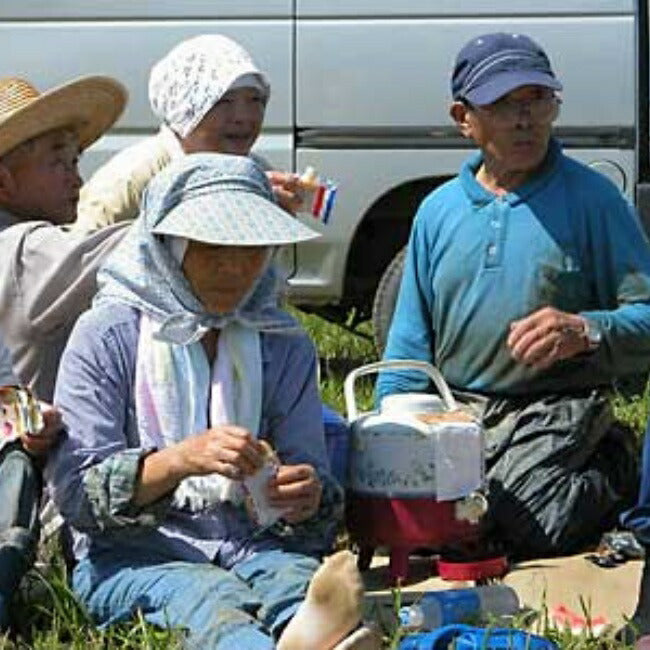餅 切りもち総量3,1キロ以上 美味さが違う 切り餅 杵つき餅-豪華ギフト(9パック)昔ながらの粘りのある餅 国産減農薬もち米100%使用 白餅350g×4袋、豆もち350g、草餅350g、粟餅350g、玄米餅350g、しそ餅350g/各1個