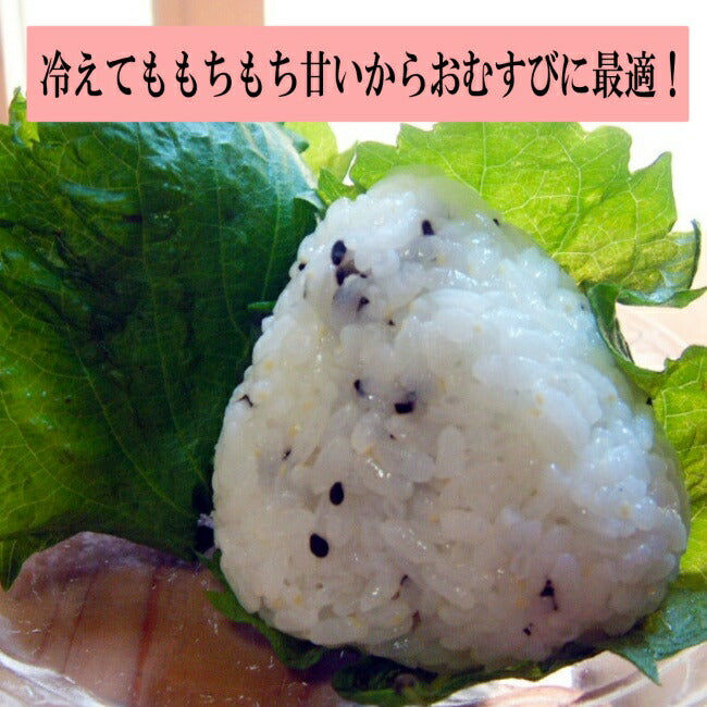 新米 令和7年度産 新潟産 魚沼こしひかり/玄米 3kg, 5kg、10kg 沢水育ちの棚田米 特別栽培 甘くてツヤツヤ