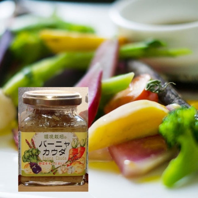 【信州自然王国】イタリアンソース バーニャカウダ 160g×3個 送料無料 環境栽培 無添加(バーニャカウダ バーニャカウダソース) 国産(調味料 ソース)野菜が旨い! 無添加イタリアンソース