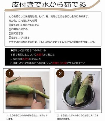 甘くて旨くてジューシー!有機 生とうもろこし めぐみ Lサイズ/10本入り 朝採り 生トウモロコシ 群馬県産 有機JAS 産地直送 クール配送