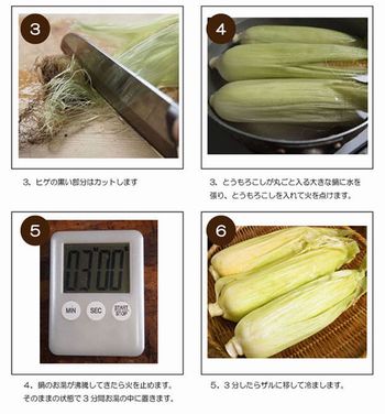 甘くて旨くてジューシー!有機 生とうもろこし めぐみ Lサイズ/10本入り 朝採り 生トウモロコシ 群馬県産 有機JAS 産地直送 クール配送