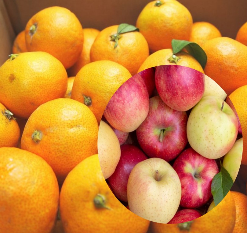 みかん・りんご