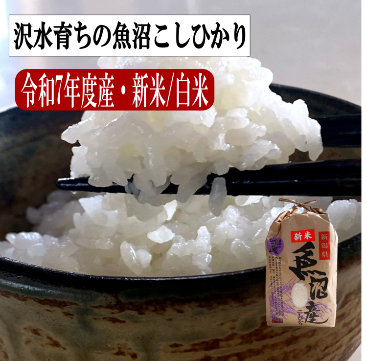 米・麺類・パン・豆、など