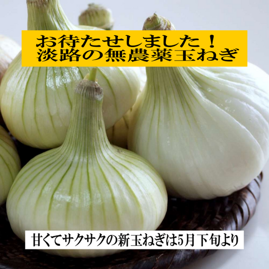 ５月の連休明けよりスタート予定！淡路の無農薬玉ねぎ 乾燥玉ねぎ 35年以上無農薬 甘くて柔らかくて、旨い 兵庫県 プロも認める高品質 産地直送