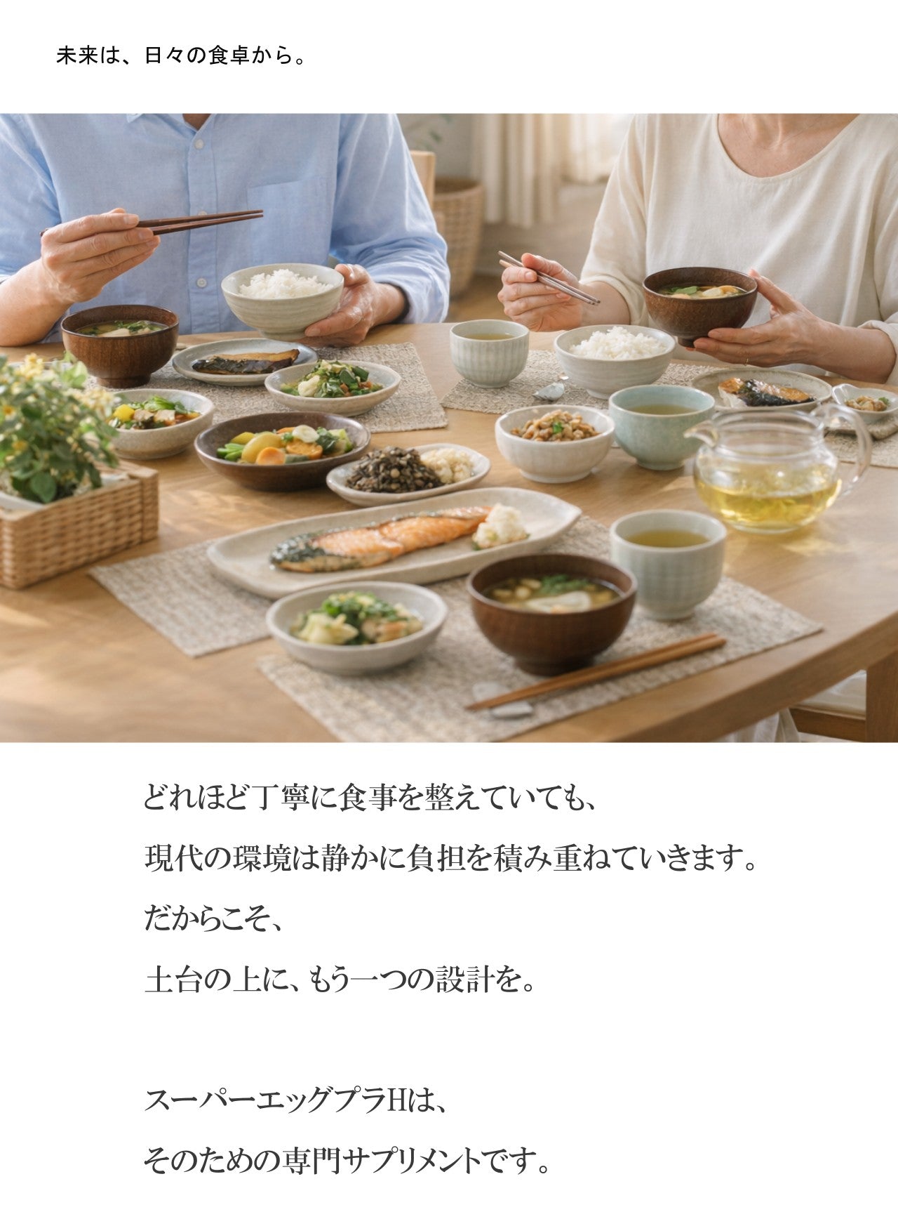 水素サプメント スーパーエッグプラH 栄養機能食品（カルシウム）NAD+ 持続型水素