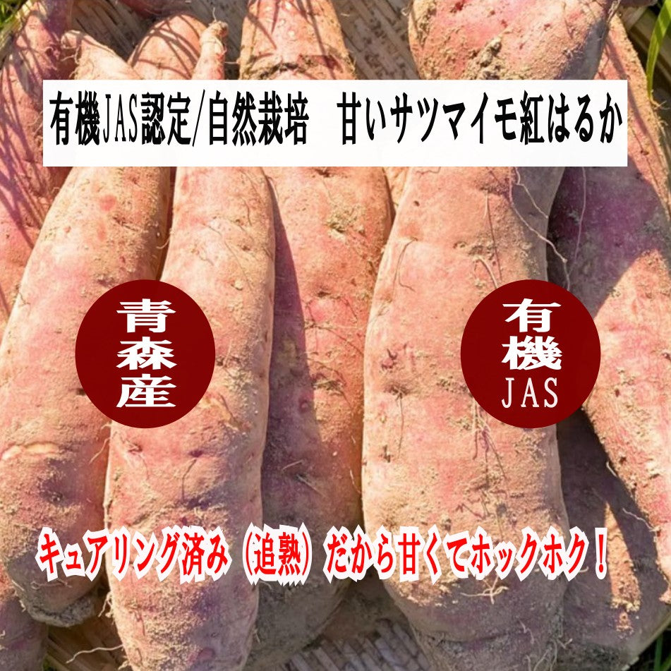 【有機JAS さつまいも/紅はるか 】有機JAS オーガニック 青森県産 無農薬 自然栽培 キュアリング（追熟）済みで甘くてトロトロ 産地直送 【一部地域以外は送料無料】