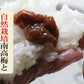 夏のミネラル補給 無添加  【自然栽培 南高梅の無添加ねり梅】120g×3本 天日塩だけで漬けたねり梅 チューブ入り 国産 塩分18％ 和歌山県産  南高梅 自然栽培南高梅  疲労回復 クエン酸  梅醤番茶 簡単