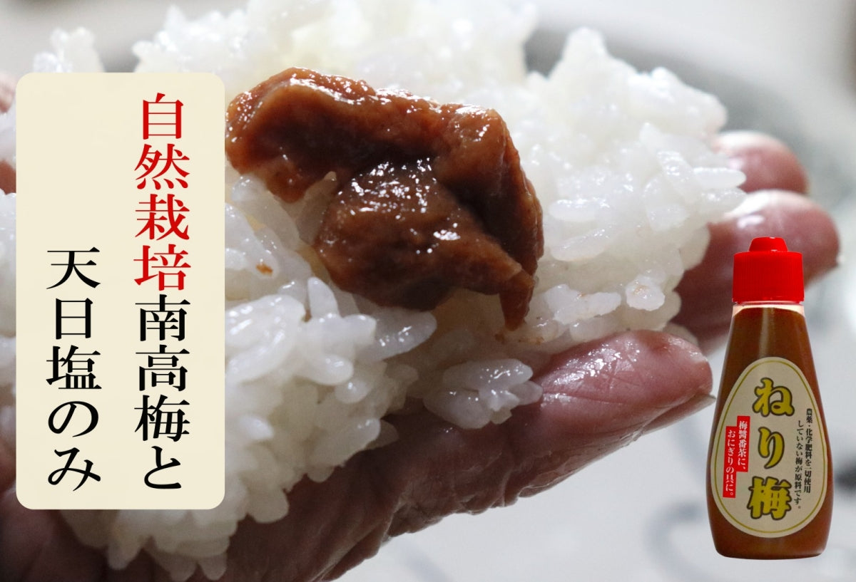 夏のミネラル補給 無添加  【自然栽培 南高梅の無添加ねり梅】120g×3本 天日塩だけで漬けたねり梅 チューブ入り 国産 塩分18％ 和歌山県産  南高梅 自然栽培南高梅  疲労回復 クエン酸  梅醤番茶 簡単