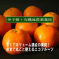数量限定！５kg×10箱のみ！甘いみかん 味香ん園の有機減農薬伊予柑 5kg （16～23玉）甘味と酸味のバランス最高 味の濃いいよかん 皮までまるごと使えるエコフルーツ 無農薬 ノーワックス  皮はマーマレード 期間・数量限定