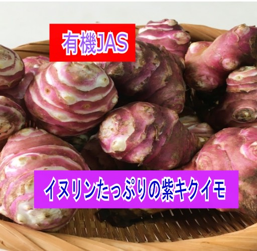 スーパーフーズ きくいも 【むがし農園の有機紫キクイモ】 青森県産 無農薬 自然栽培 イヌリン 豊富 シャキシャキ感 スーパーフーズ 土付き