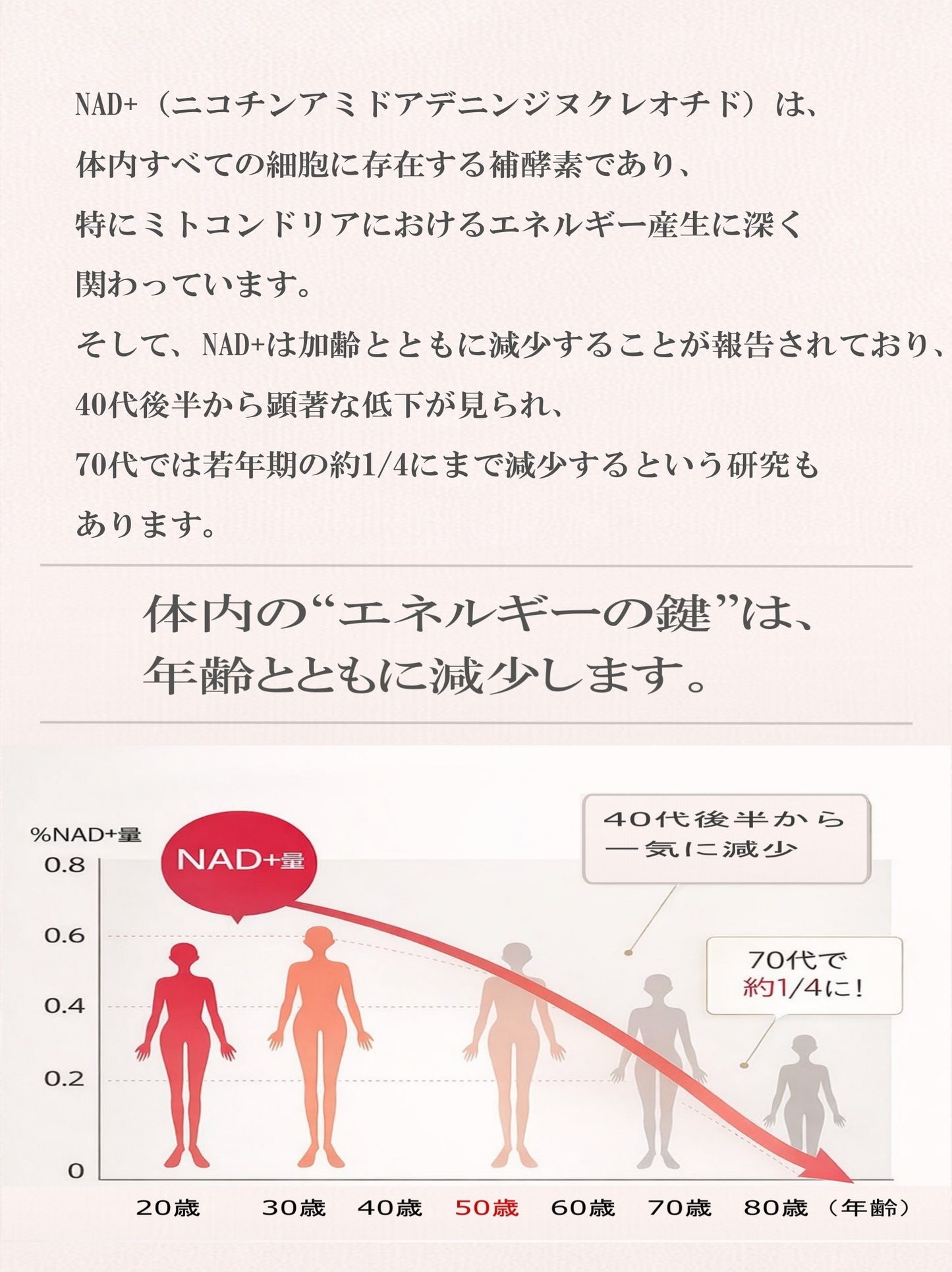水素サプメント スーパーエッグプラH 栄養機能食品（カルシウム）NAD+ 持続型水素